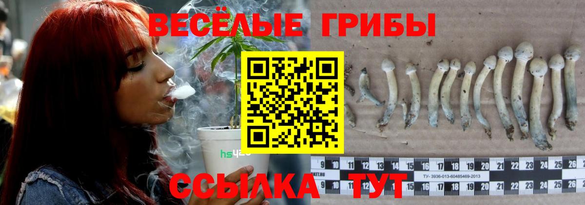 Санкт-Петербург  Галлюциногенные грибы Psilocybine cubensis  Вход с VPN  Галлюциногенные грибы мухоморы 